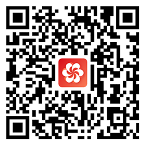 扫描下载